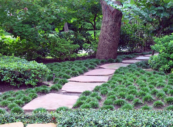 Landscaping tips for curb appeal