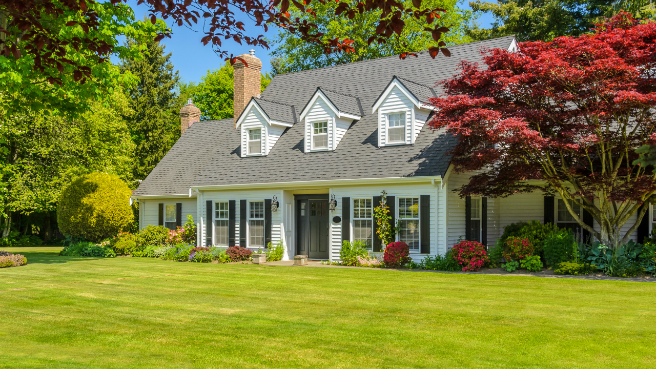 Budget Curb Appeal Tips: Making an Impact at the Front Door