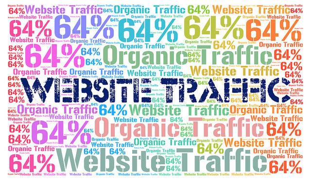 Web Site Goal: Learn How To Understand Your Web Traffic