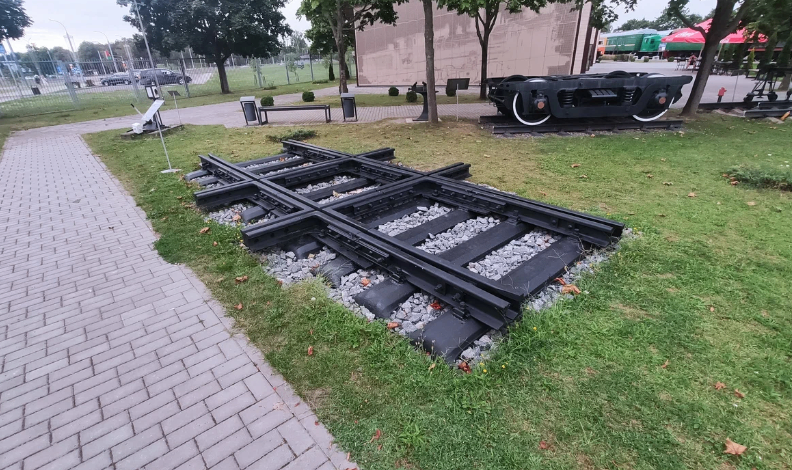 Жыныстық бейне файлдарын ортақ пайдалану қызметі