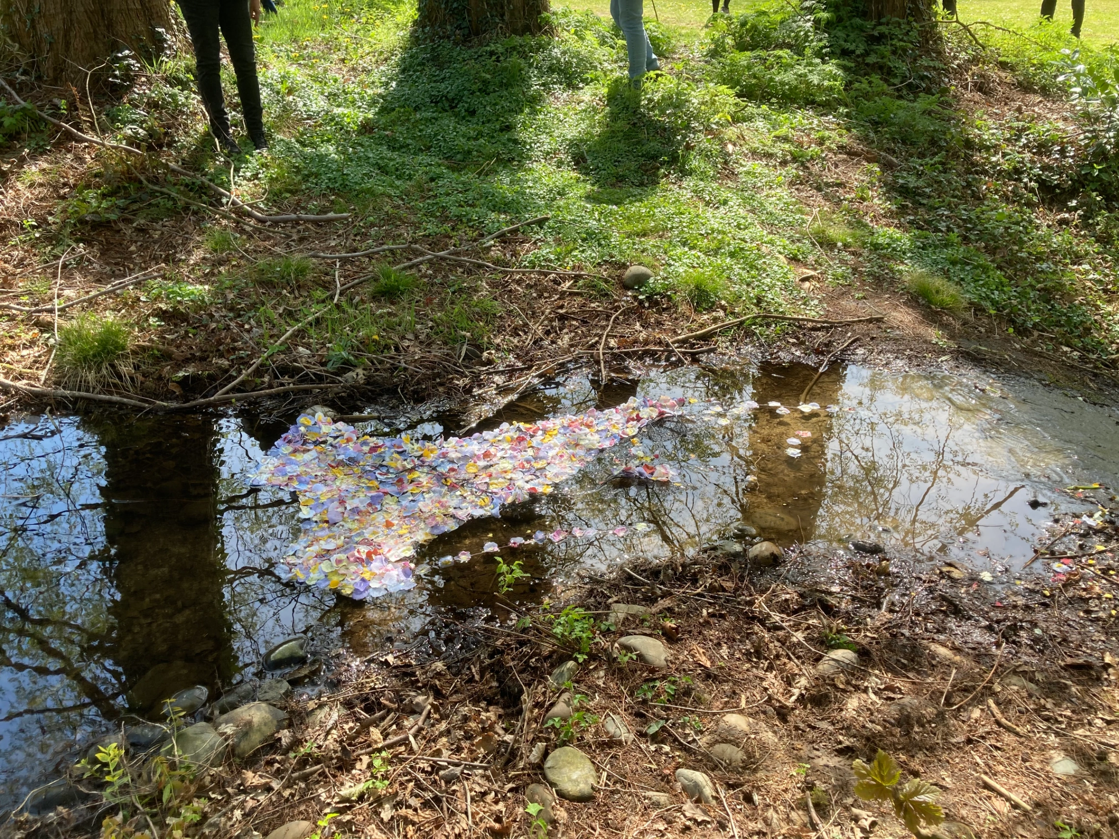 Ophelia 3