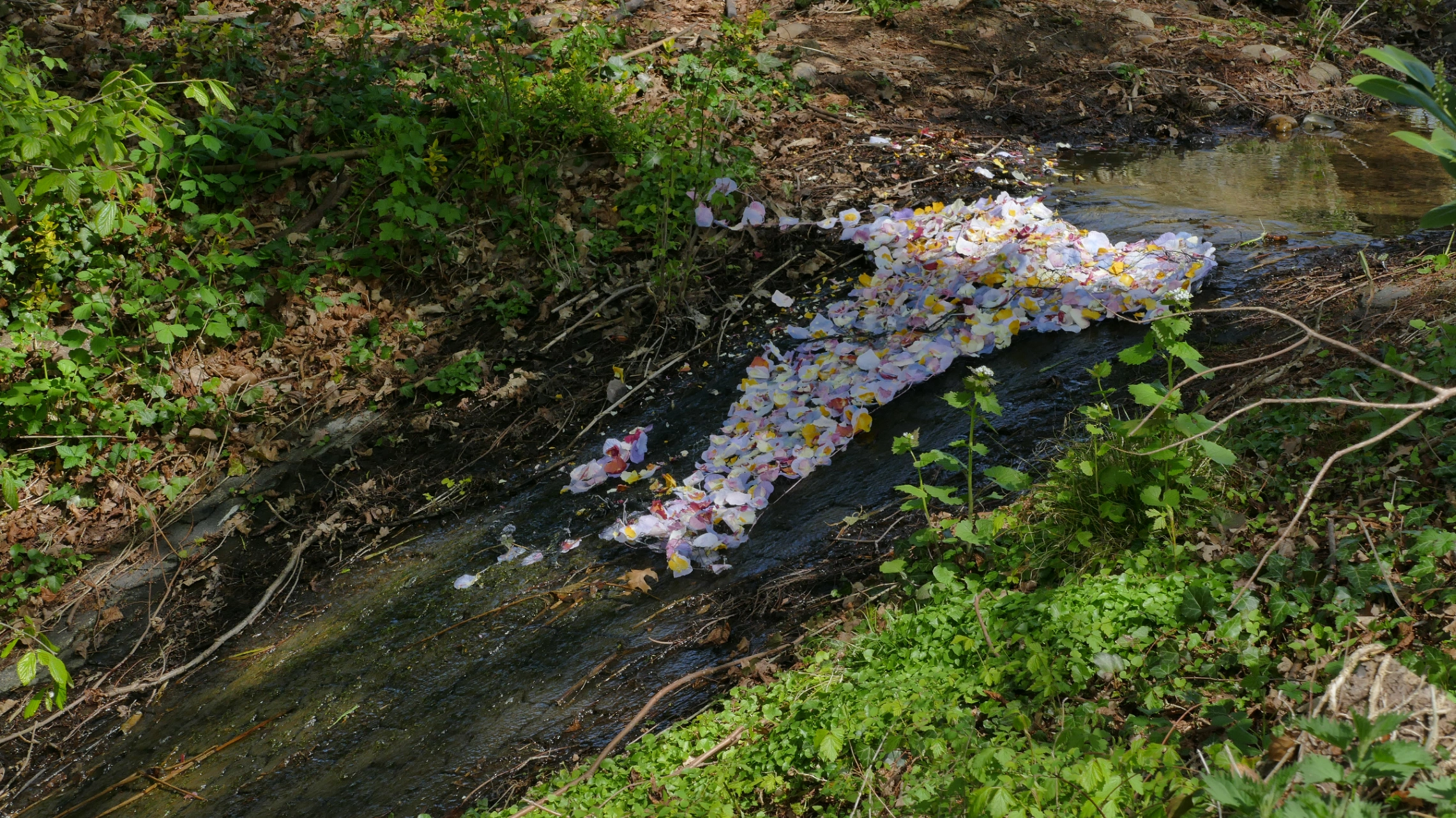 Ophelia 1 