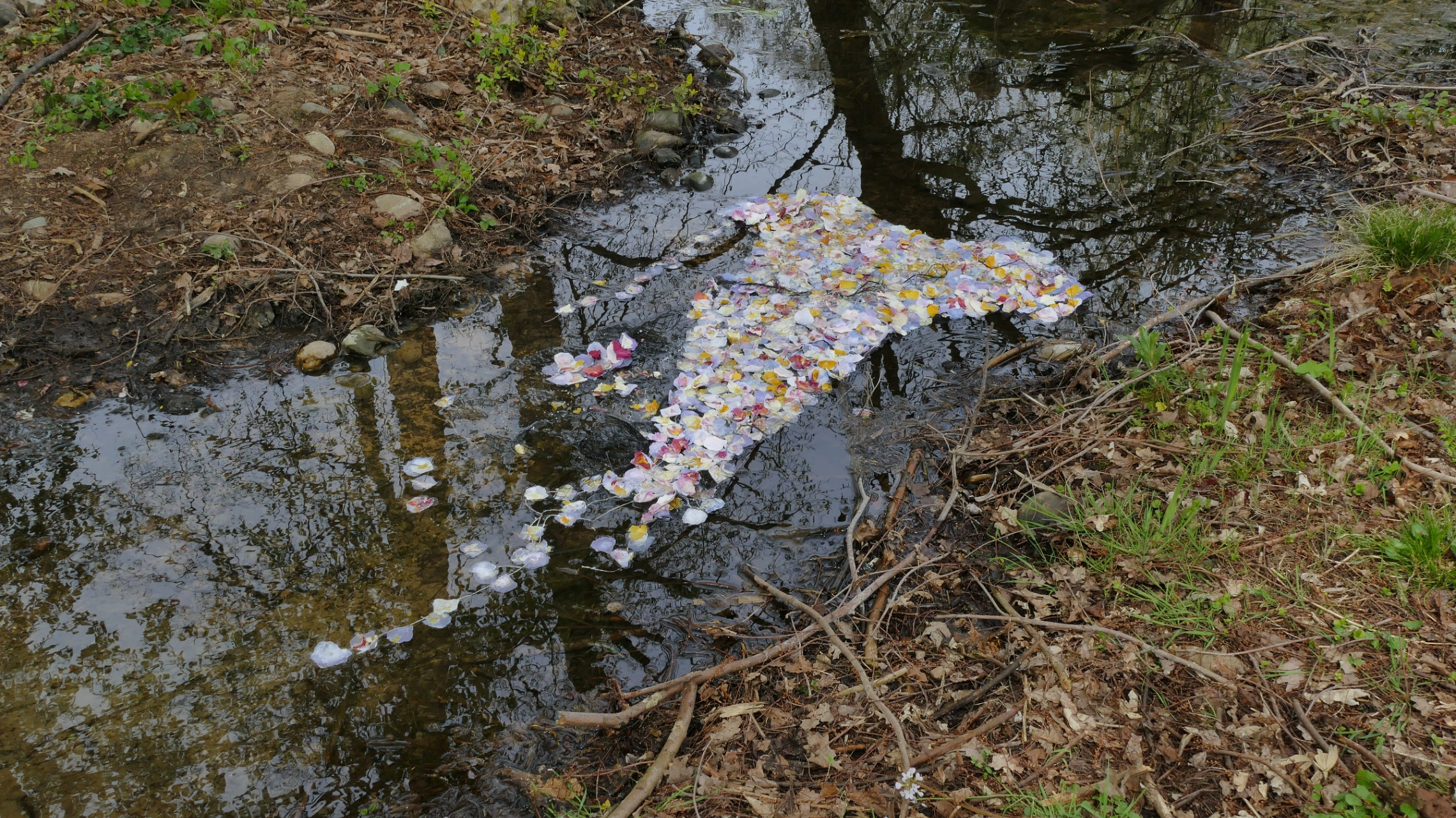 Ophelia 4