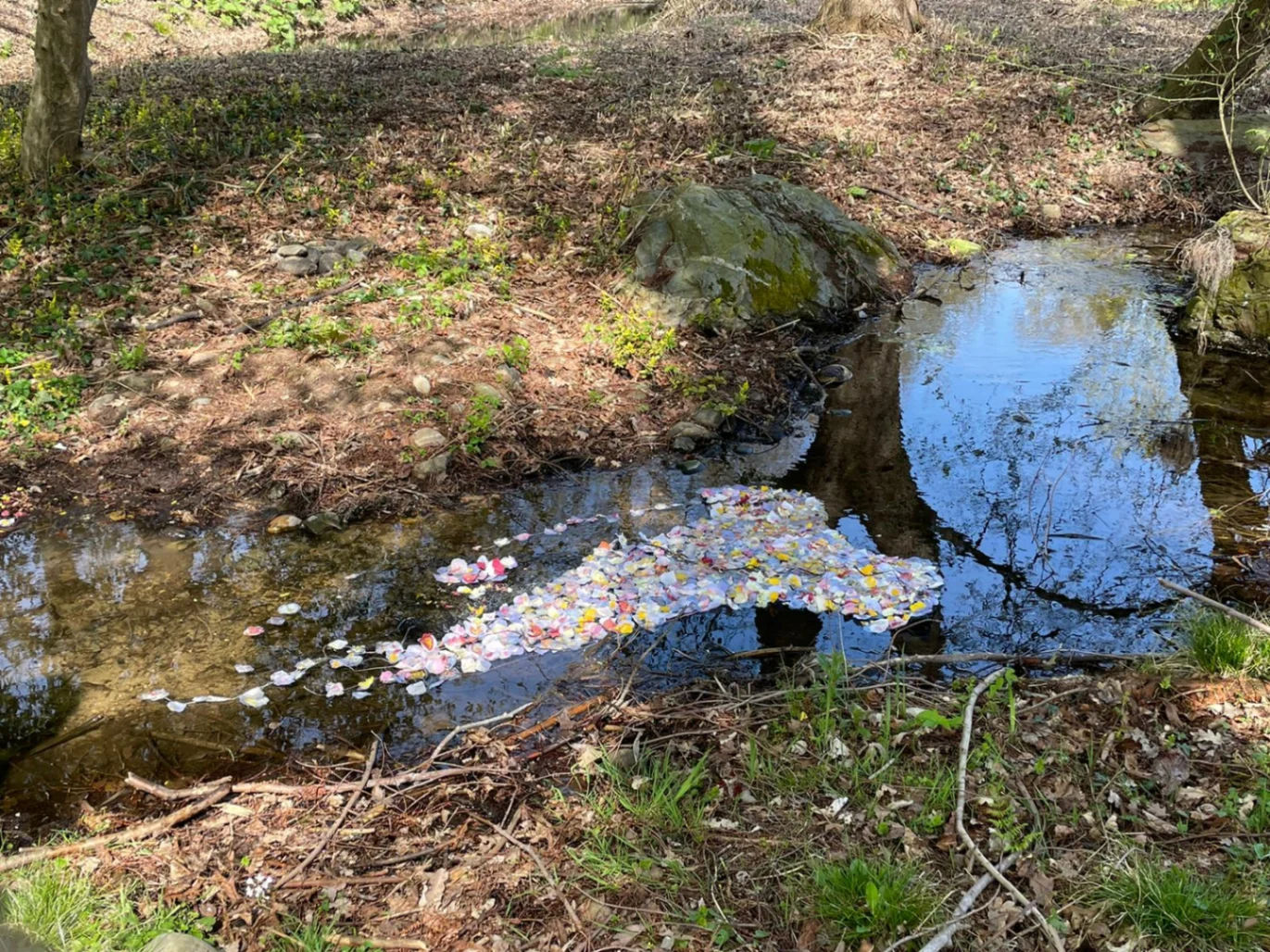 Ophelia 5