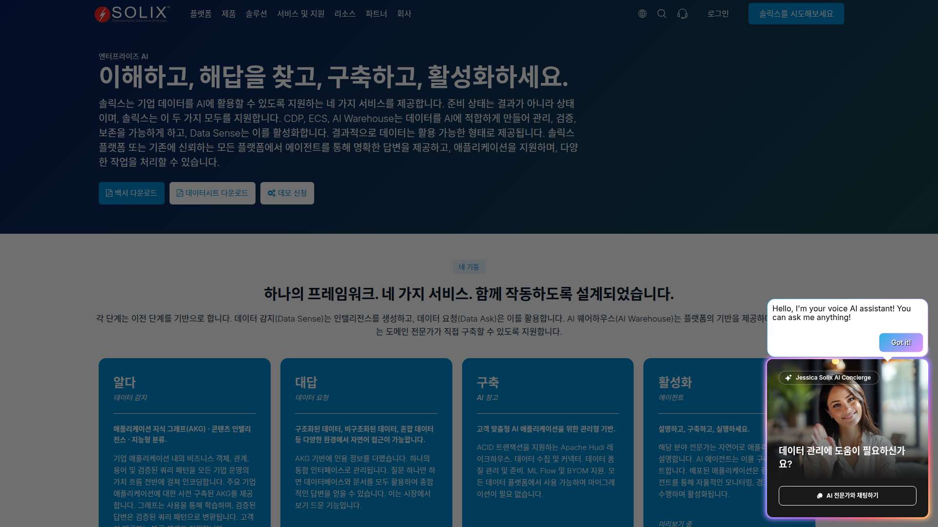 Solix Enterprise AI