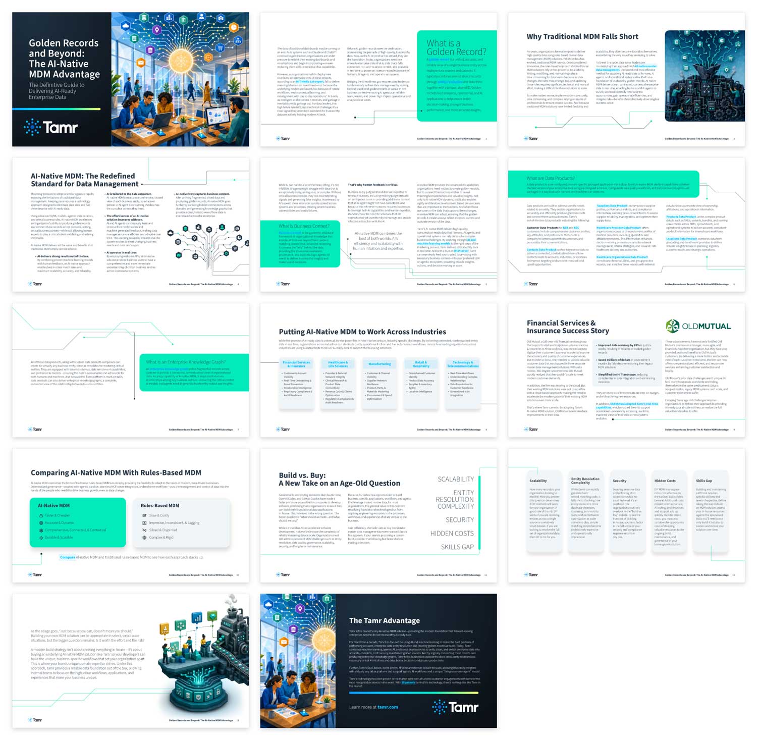 Tamr AI-Native MDM Cost Reduction and Analytics