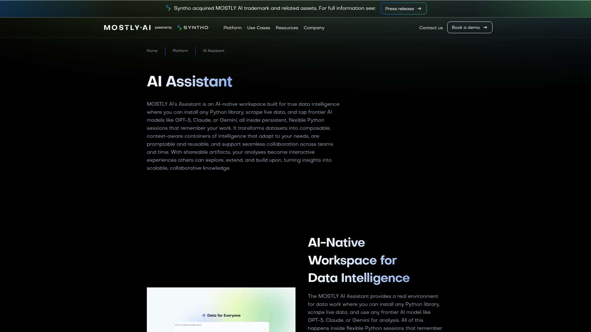 MOSTLY AI Assistant
