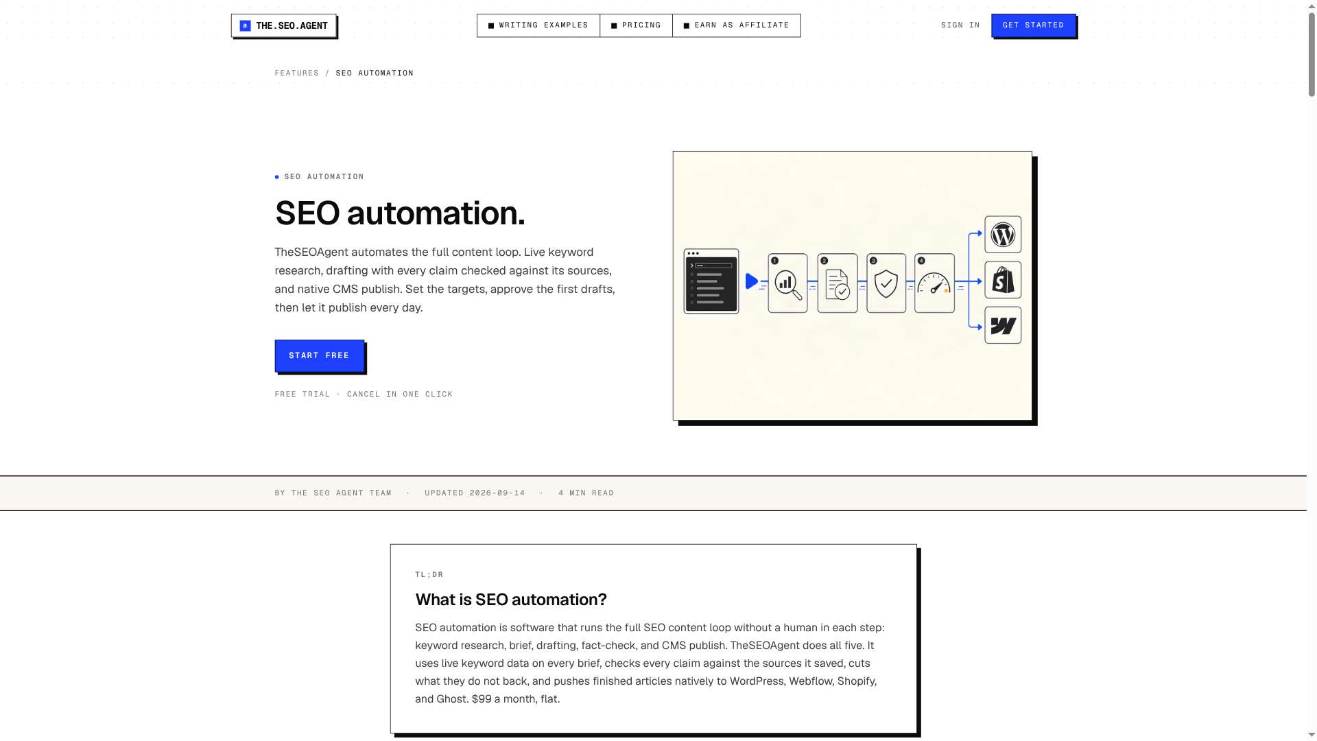 The SEO Agent