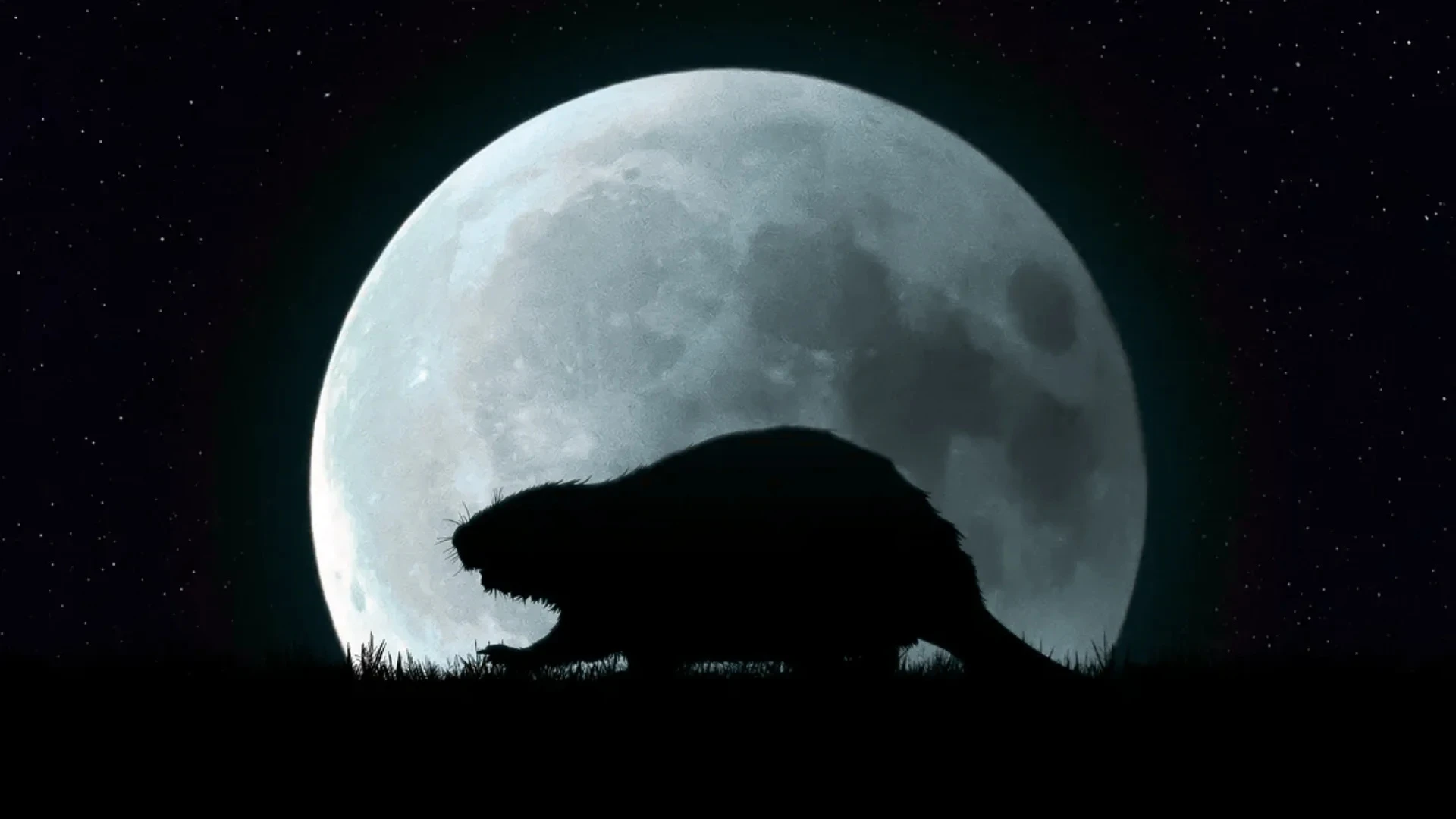 Бобровий супермісяць 5 листопада: натальна карта та гороскоп