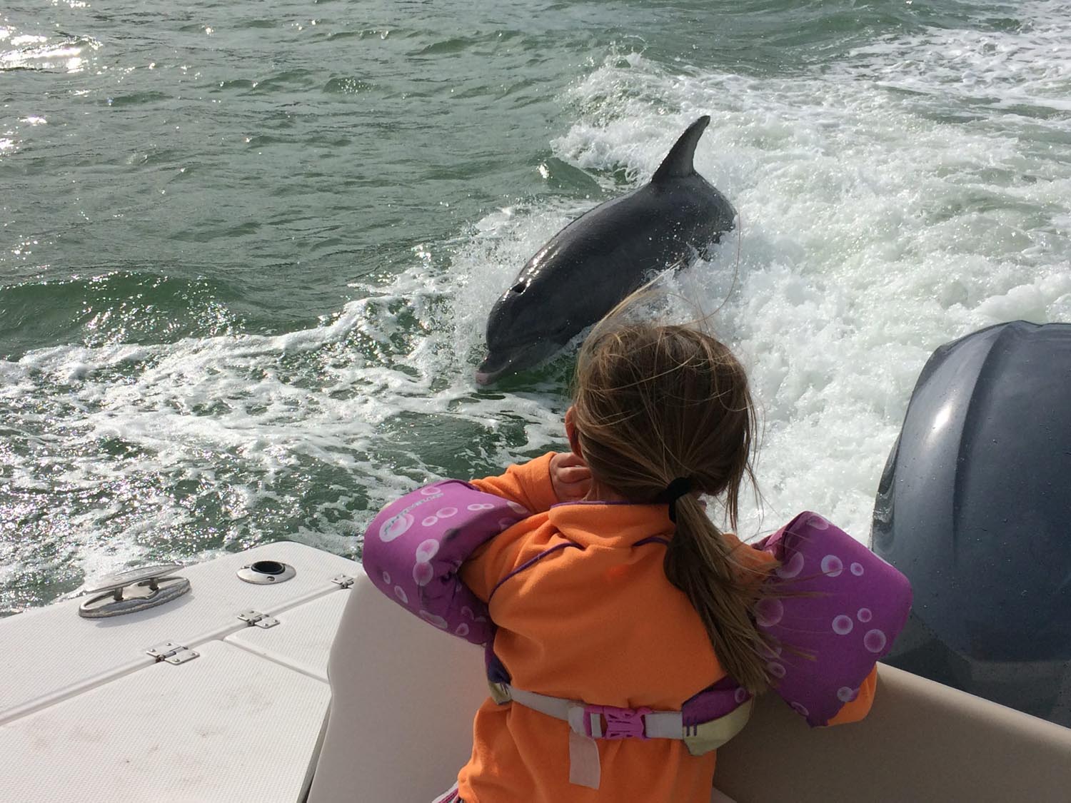 Sandy Bottom Boat Cruise — Sandy Bottom Boating (Fort Myers, Florida)