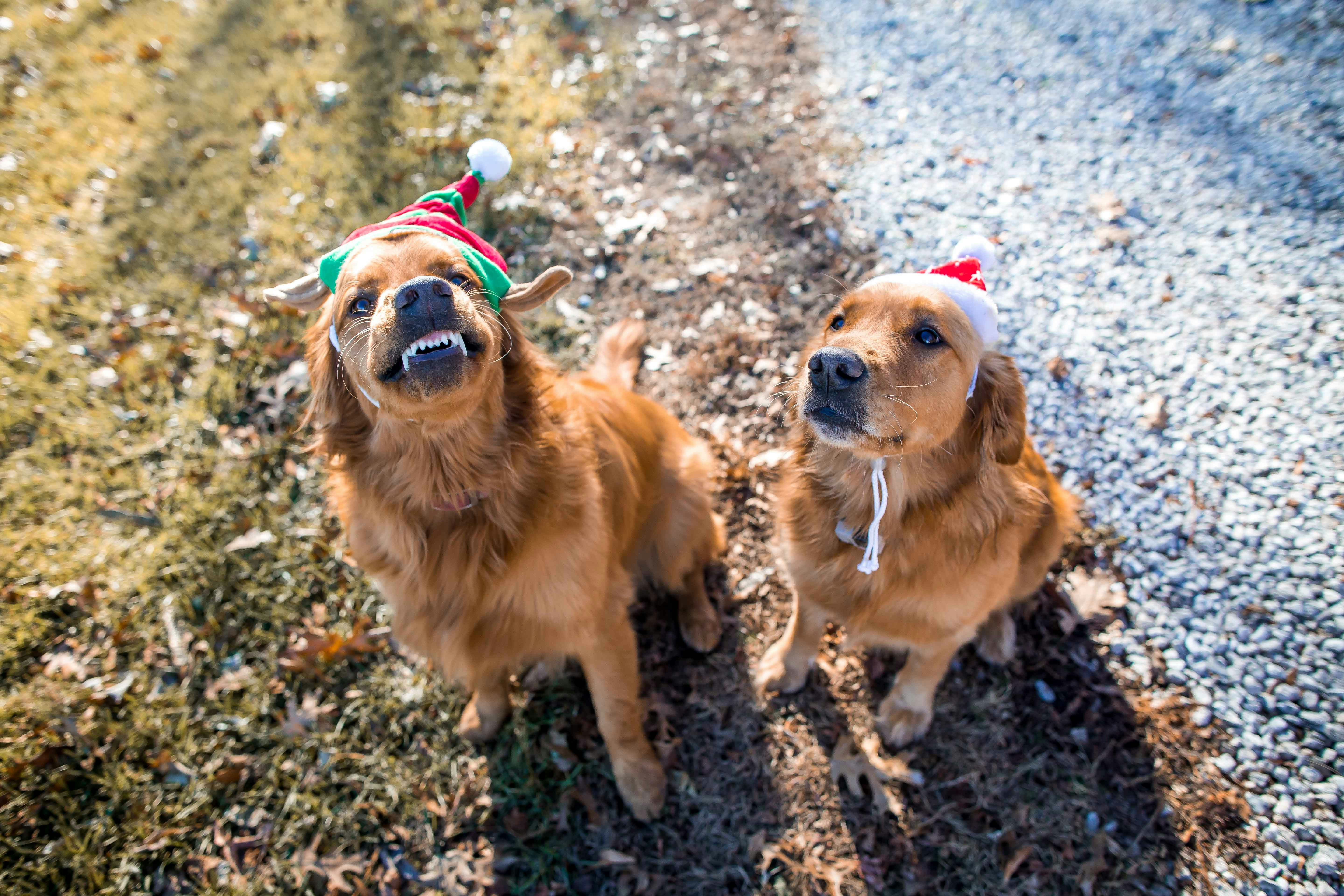 An overhead view of different donation items sorted into categories: canned food, warm coats, and children's toys.