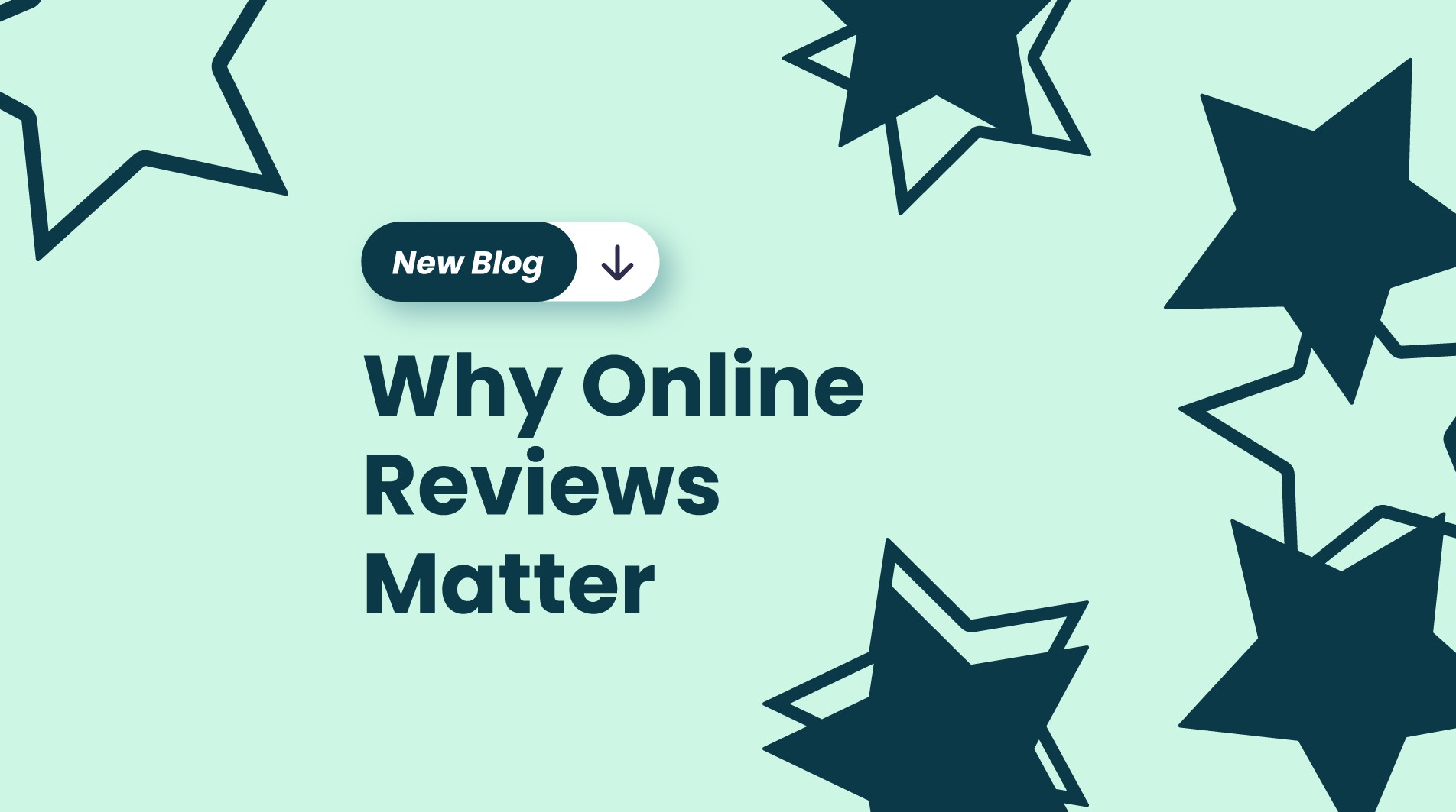 Why Online Reviews Matter