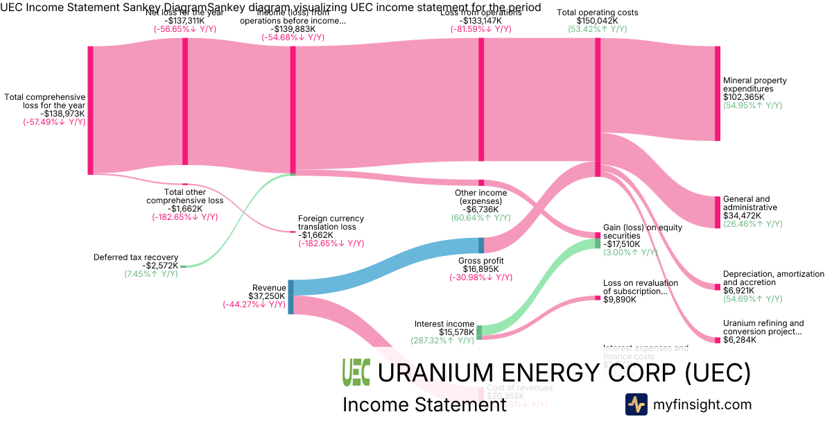 URANIUM ENERGY CORP  Income Statement