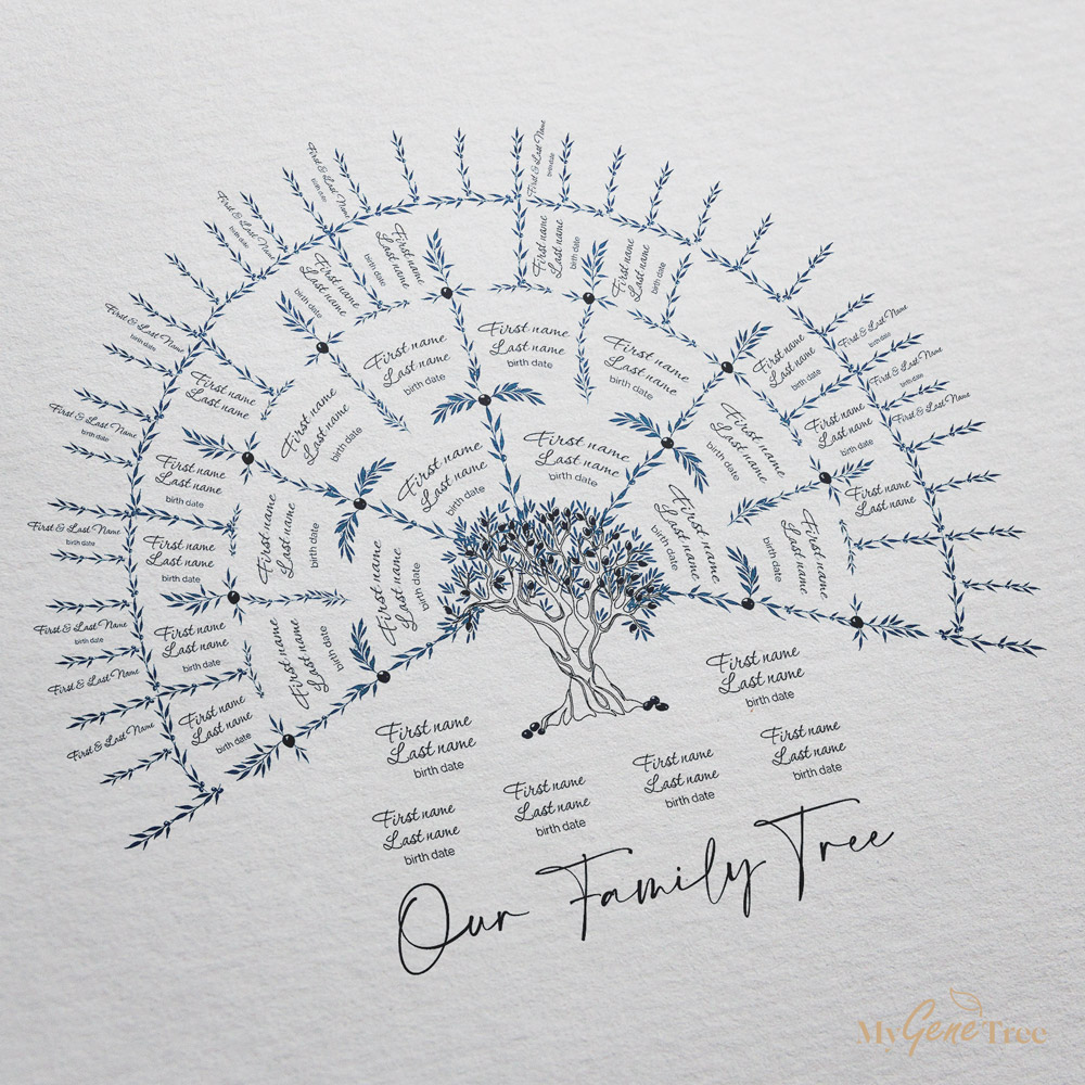 'Limited Edition' Olive Family Tree Hamptons Blue – MyGeneTree