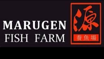 Marugen Koi Farm