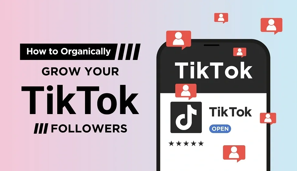 How to Organically Grow Your TikTok Followers?