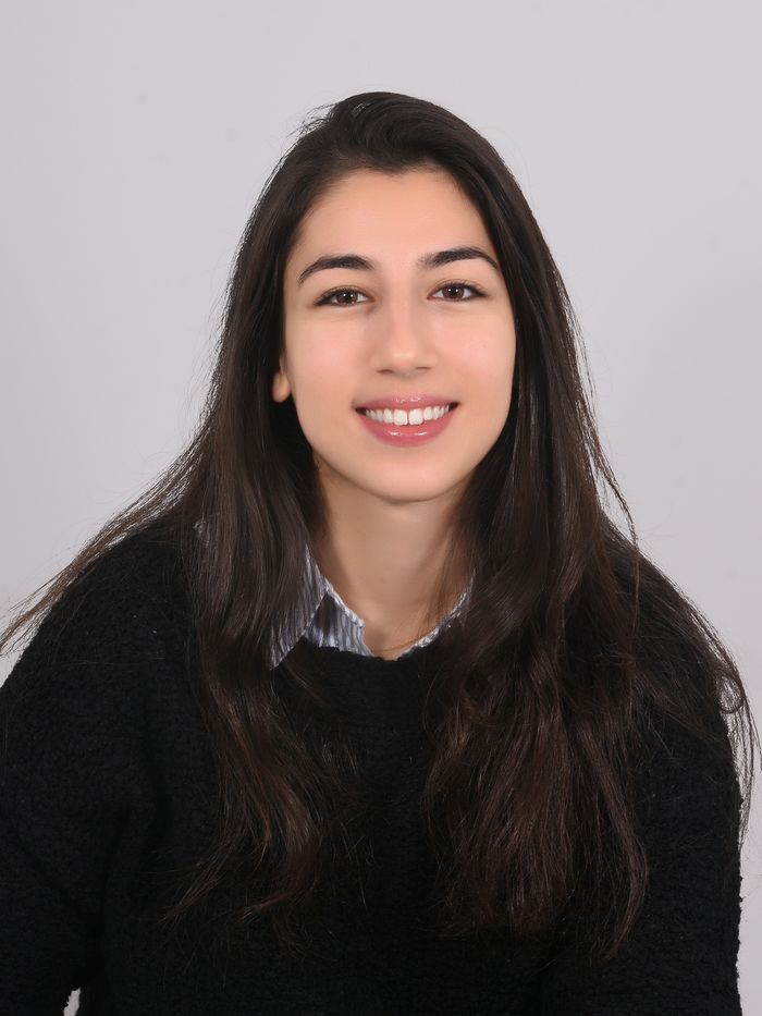 Ψυχολόγος - Ψυχοθεραπευτής Μάριαν Ροζέα