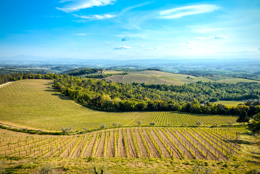 Chianti Wine Tour and Tuscan Landscapes 