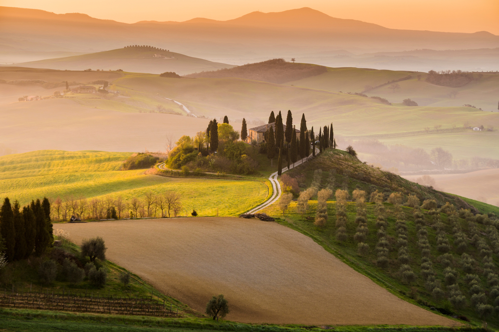 Tour del Vino in Italia