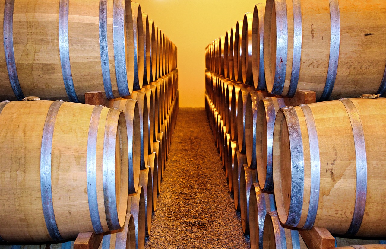 wine cellar montepulciano