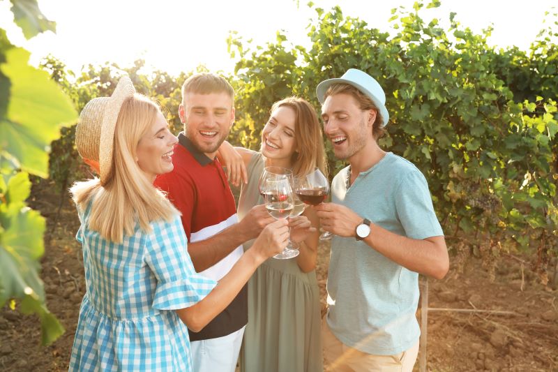 group of friends in a winery, grape groves