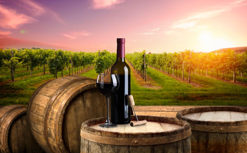 Chianti wineries: which ones to visit?