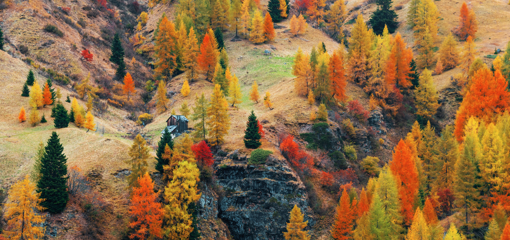 Top 5 Italian destinations to enjoy fall season
