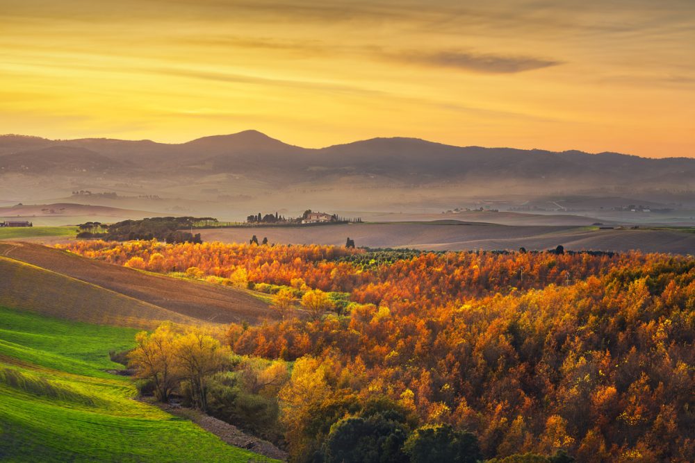 What to do in Tuscany in November