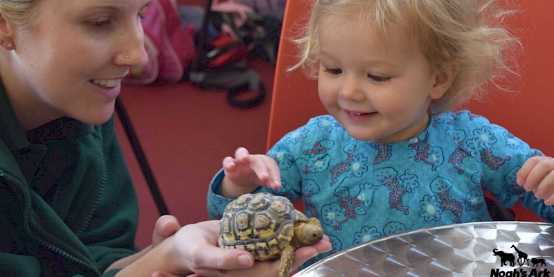 Noah's Ark Zoo Farm | Bristol