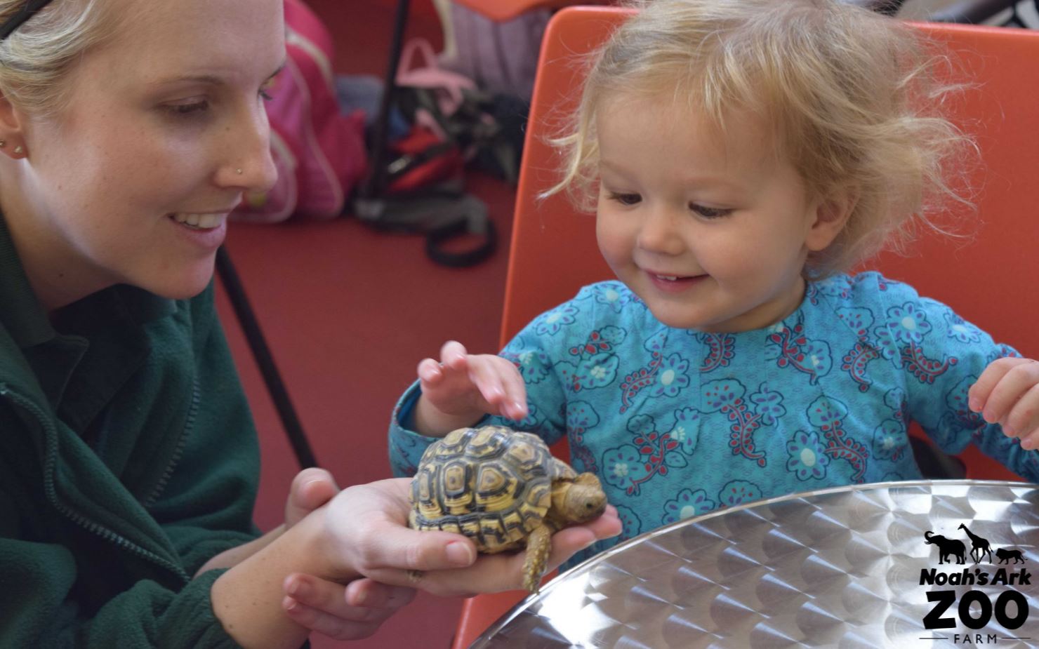 Noah's Ark Zoo Farm | Bristol Rocks