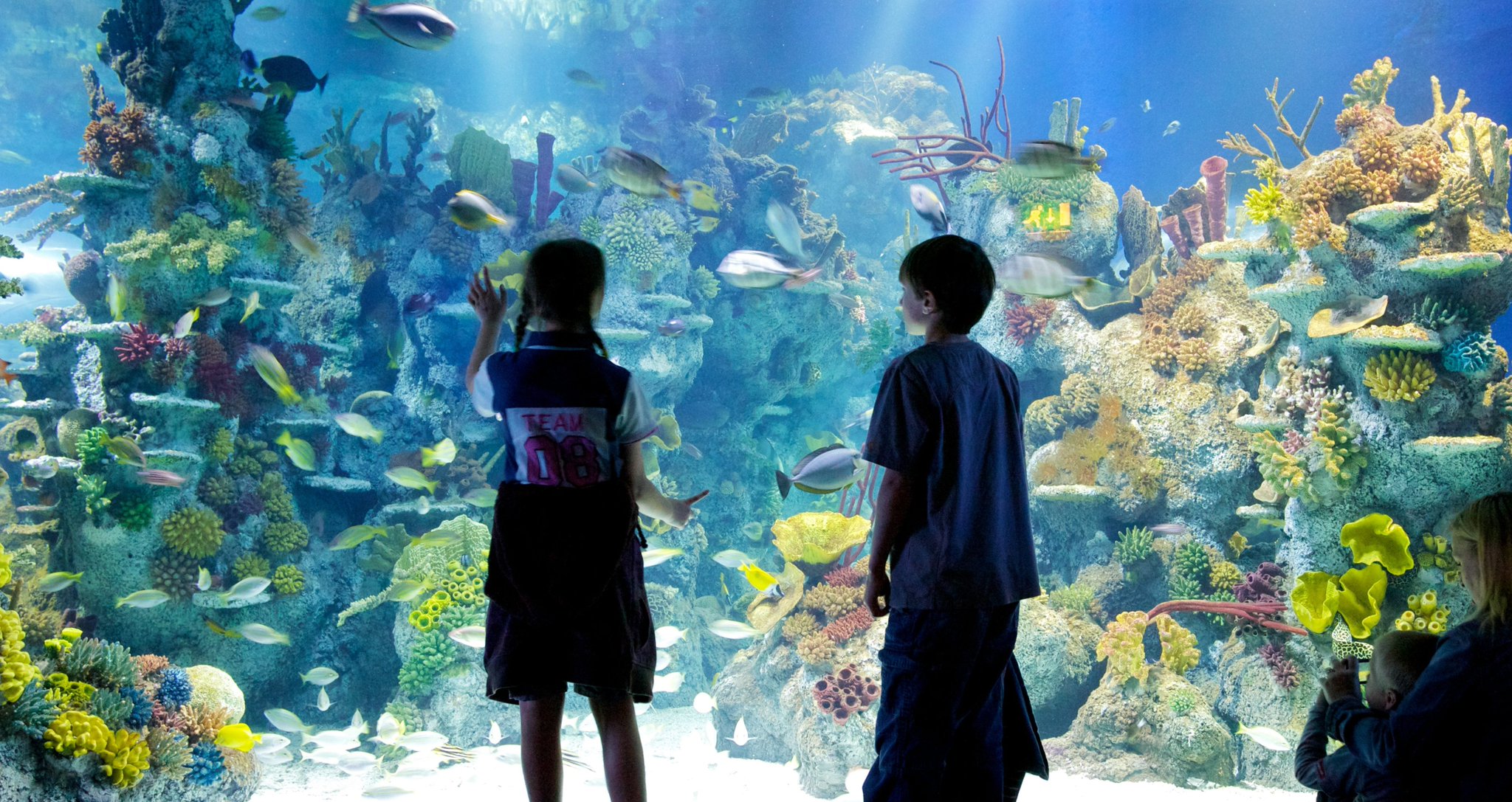 bristol-aquarium-bristol-rocks