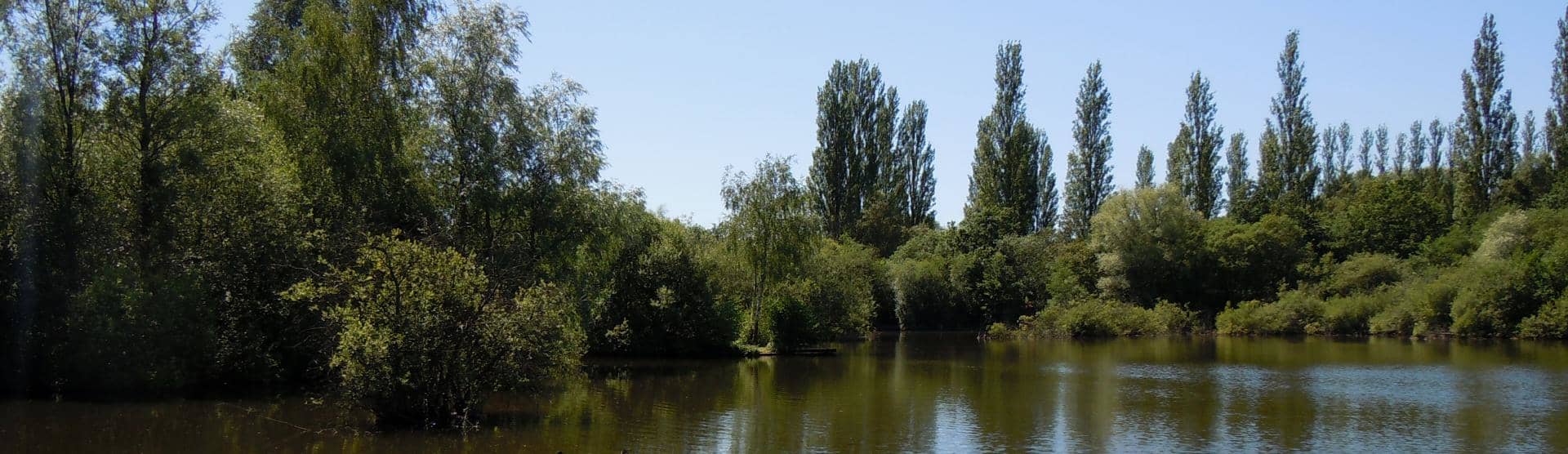 East Marsh Pool - Picture of Brandon Marsh Nature Reserve