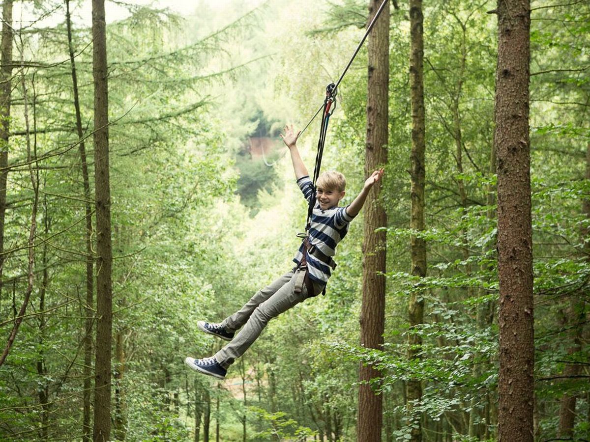 Go Ape Coventry High Ropes In Coventry