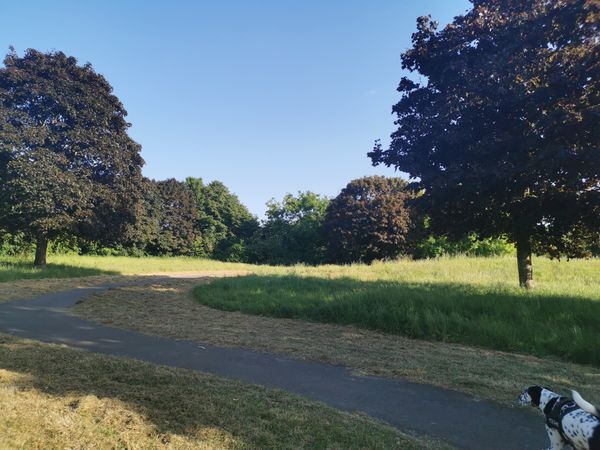 Crow Lane Open Space and Playground