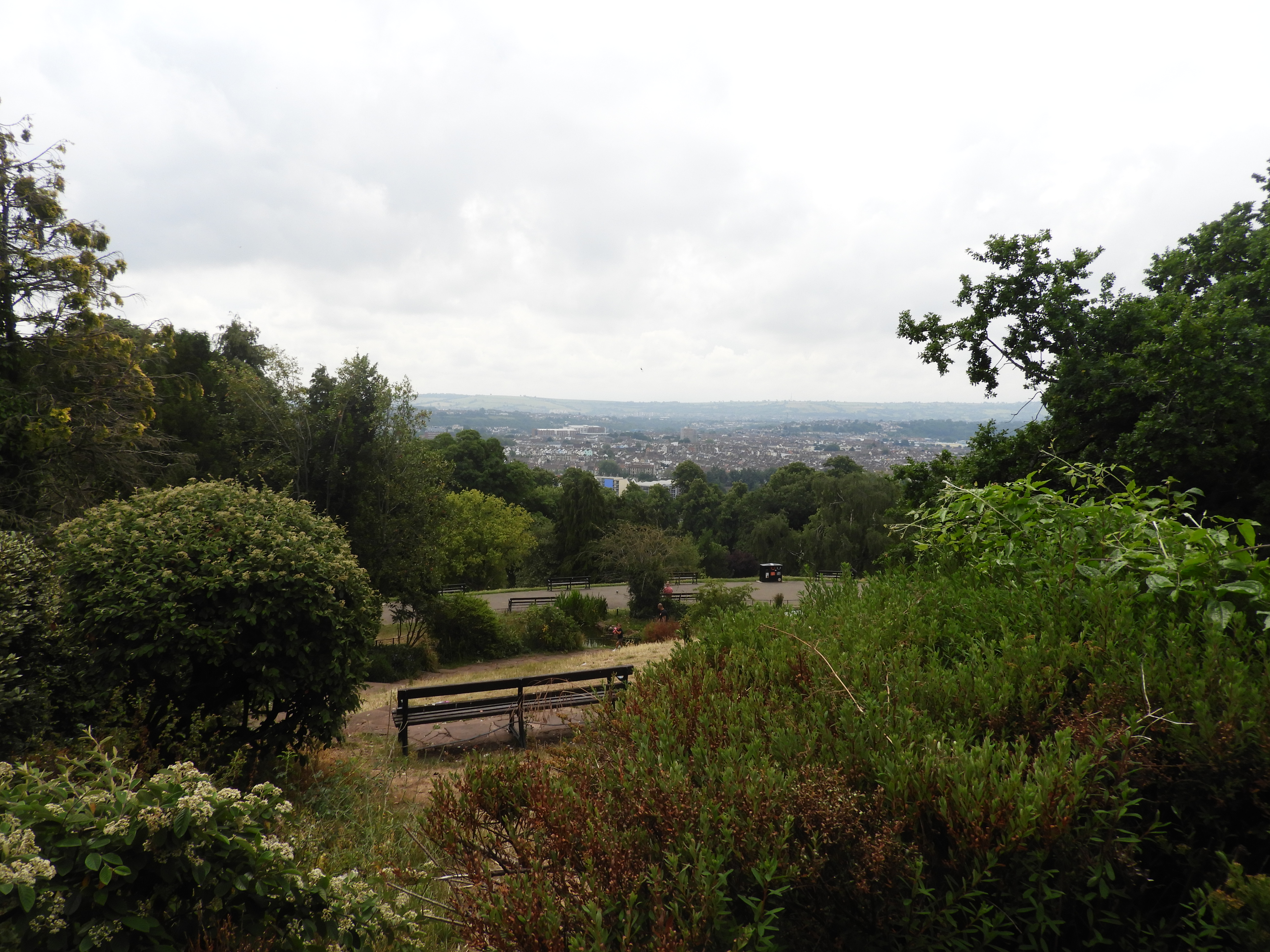 Brandon Hill Nature Park Entrance Fee