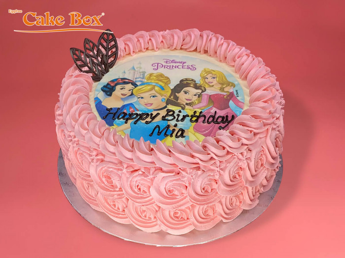 Eggfree Cake Box Swindon Rocks