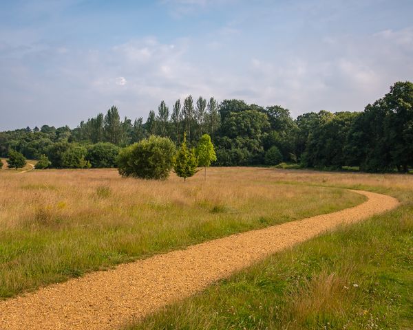 Peacock Meadow