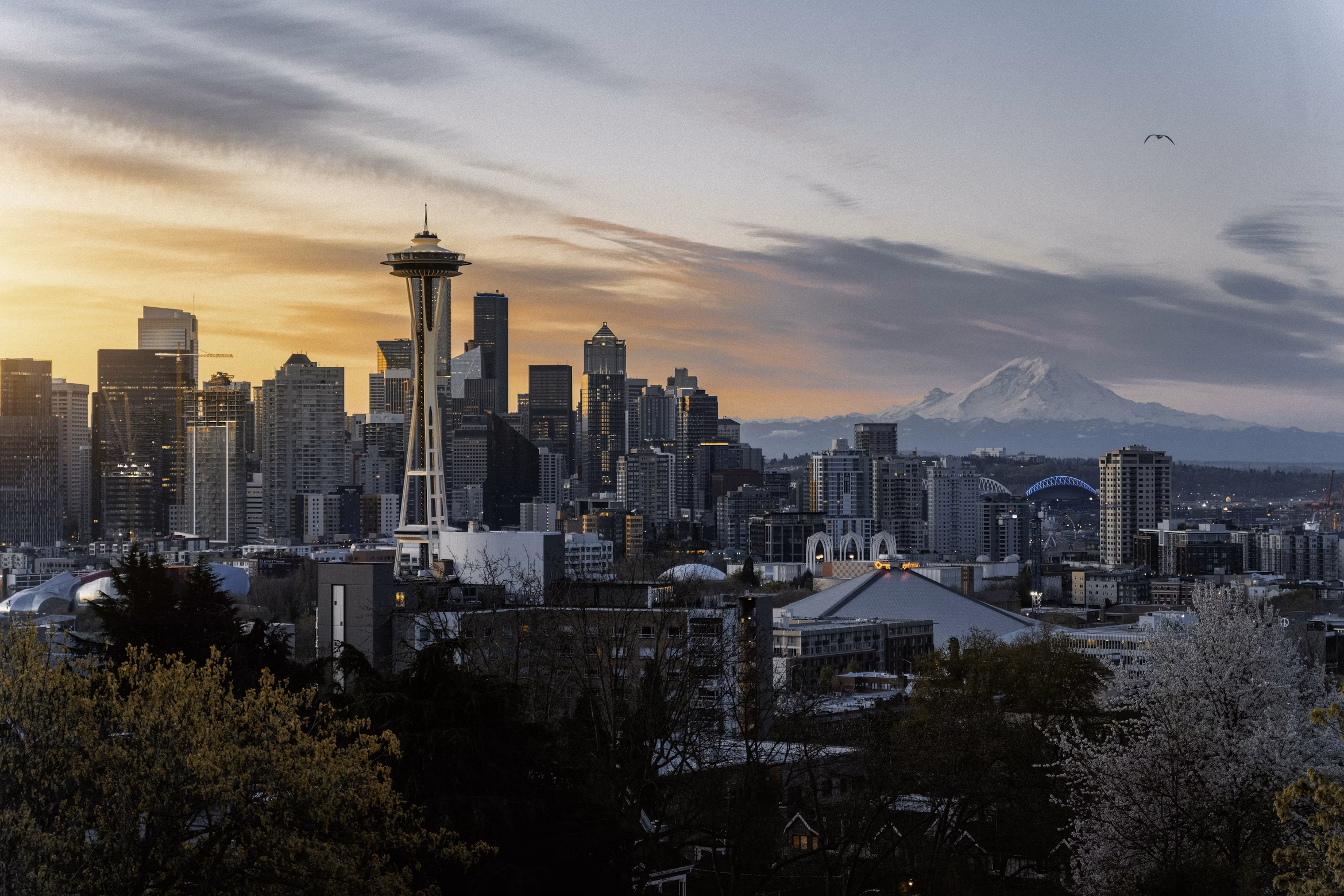 Washington Travel Guide