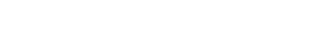 Numeracy4Life logo