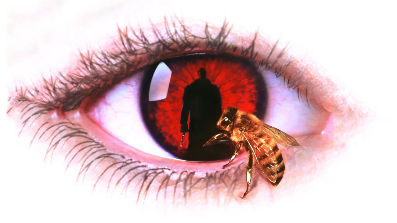 Candyman Review: A Chilling Urban Legend Comes to Life Review of Candyman