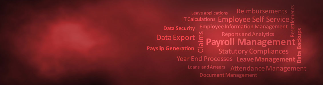 Payroll System Chennai, Payroll Software Iraq, Payroll Portal, online Payroll Services, Payroll Taxes, Payroll Management System, HR, Payroll Chennai, Payroll System, Payroll Employees, Payrolls, HR Payroll Systems.