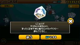 にゃんこの雑談