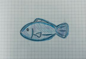 お魚で殴る