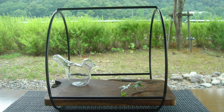 Display