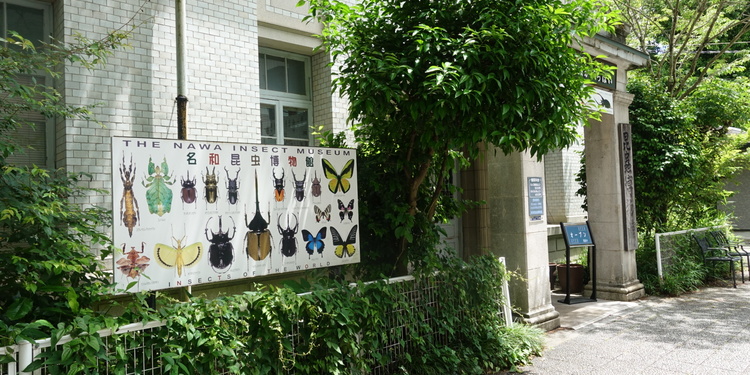 Display