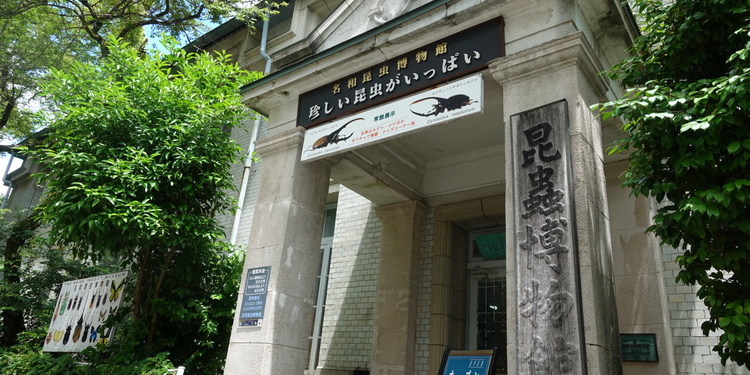 Display