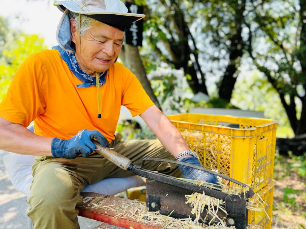 ロバのえさとなる藁を切る田頭さん