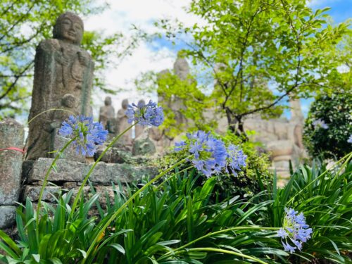 石仏の前に花が咲き誇る写真