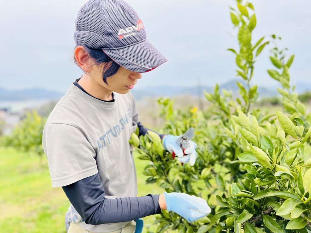 木の手入れをする奥田さん