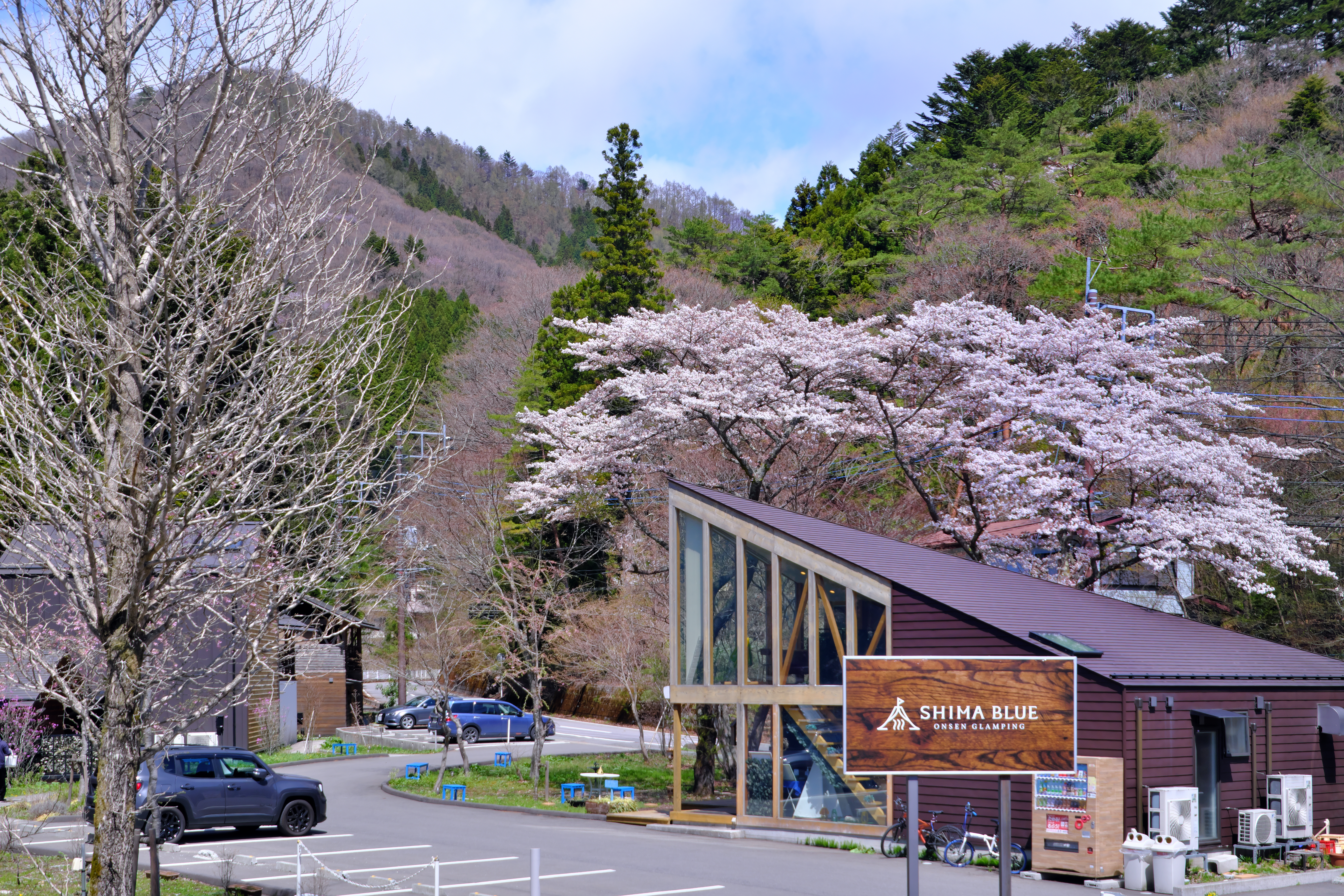 4153 粕川石 湖沼石  横72×高11×奥行26(cm) 17.7kg信濃美術石博物館